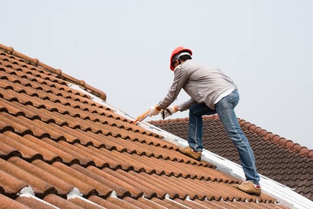 Best Commercial Roofing Services  in Venus, TX